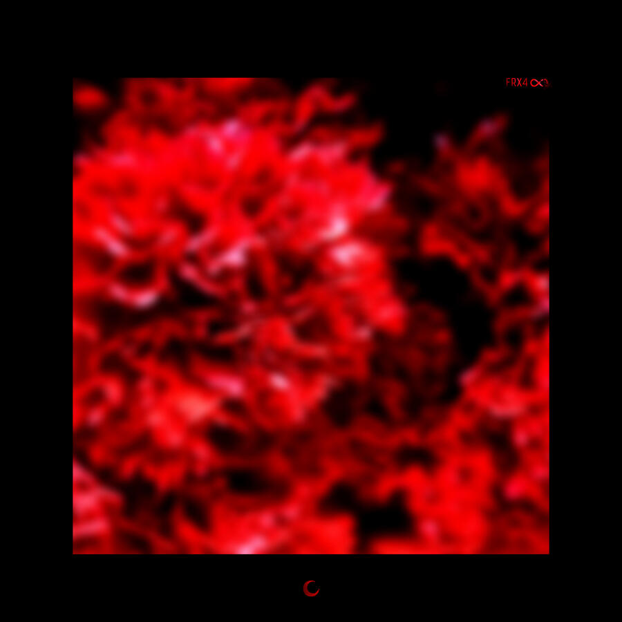 https://soundcloud.com/finitysounds/frx4