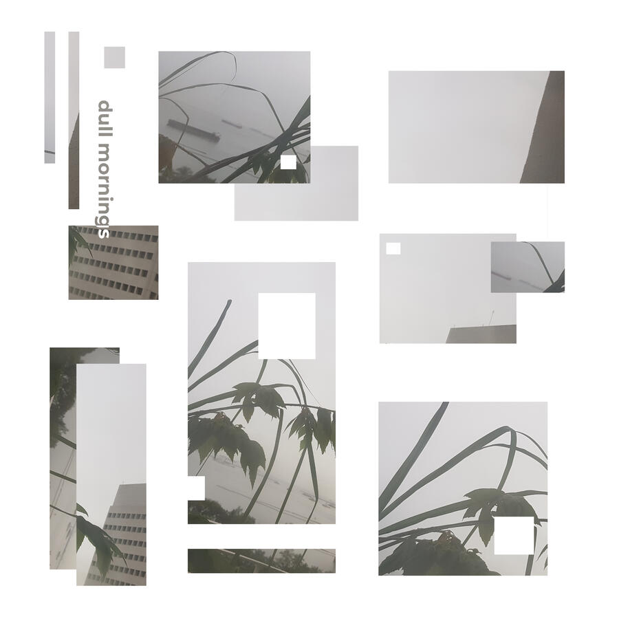 2 // Dull Mornings 2 // Dull Mornings