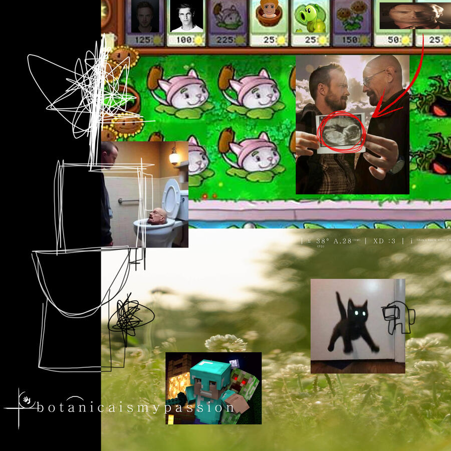 botanica1